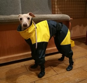 Aramis apģērbs suņiem. Ziemas suņu kombinezons-mētelis ar atstarotājiem, L